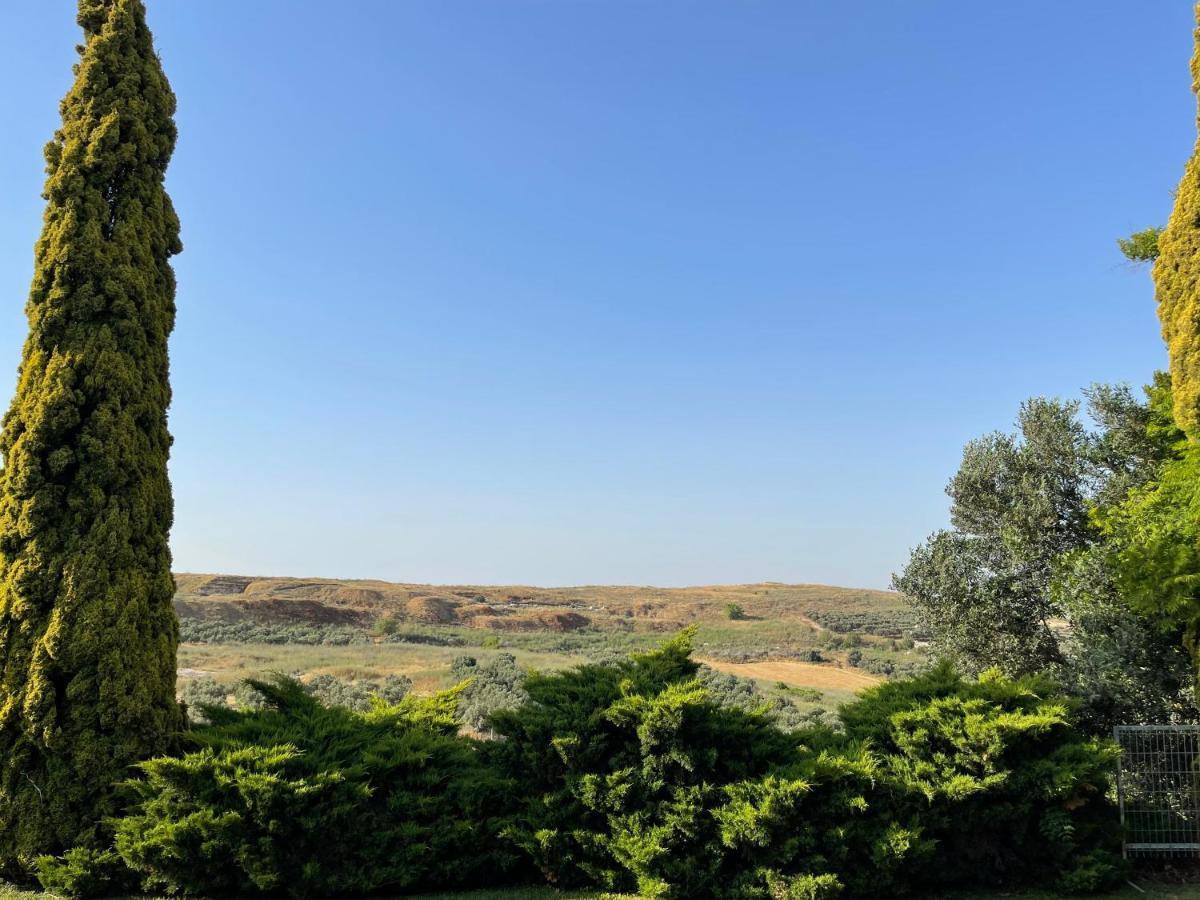 הוילה כרמי יוסף וילה הגפן מראה חיצוני תמונה